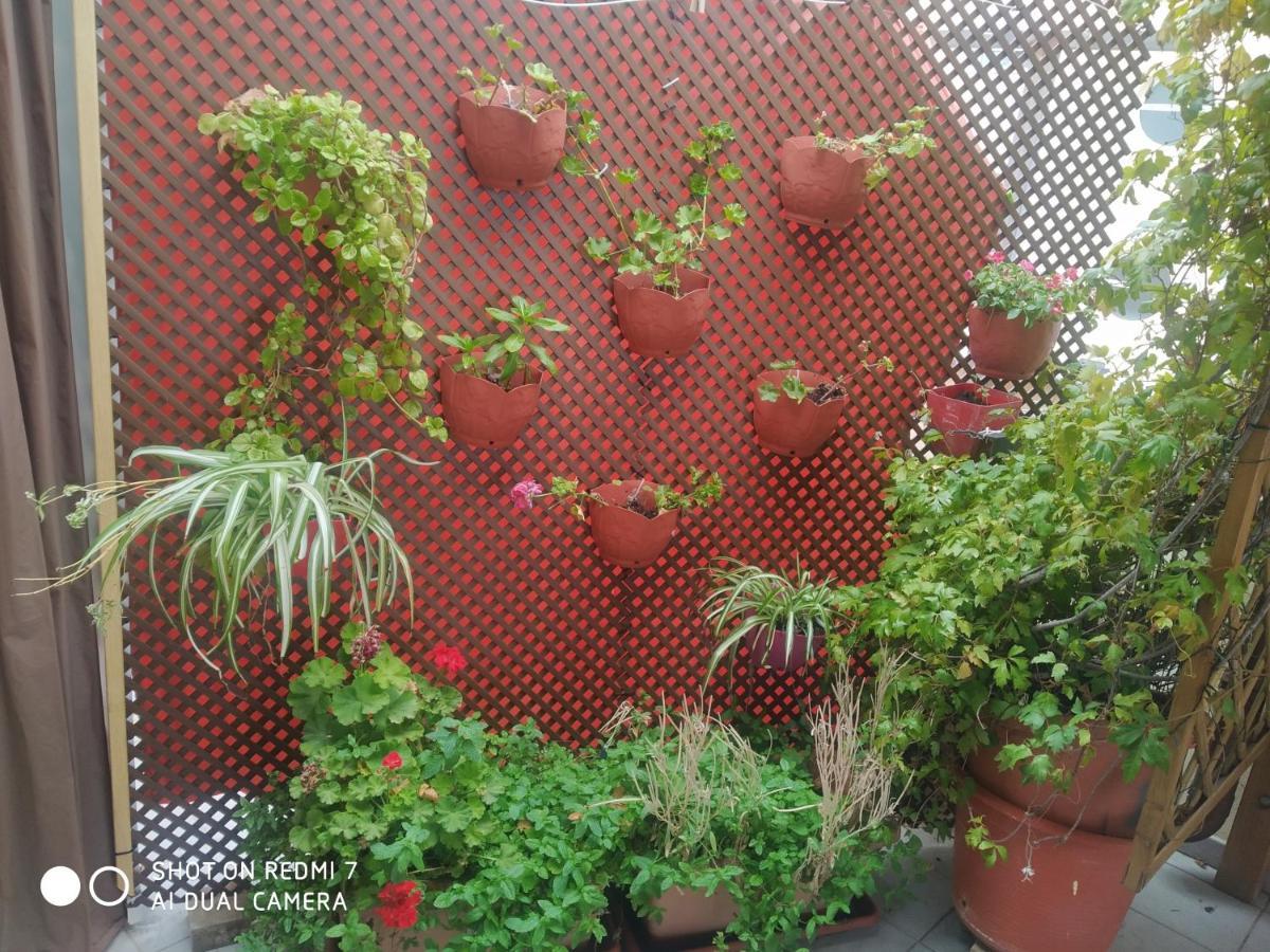 Habitacion Familiar En Un Atico Con Gran Terraza Y,Cocina ,En La Playa Burriana Exteriér fotografie